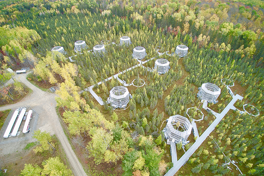 SPRUCE experiment site