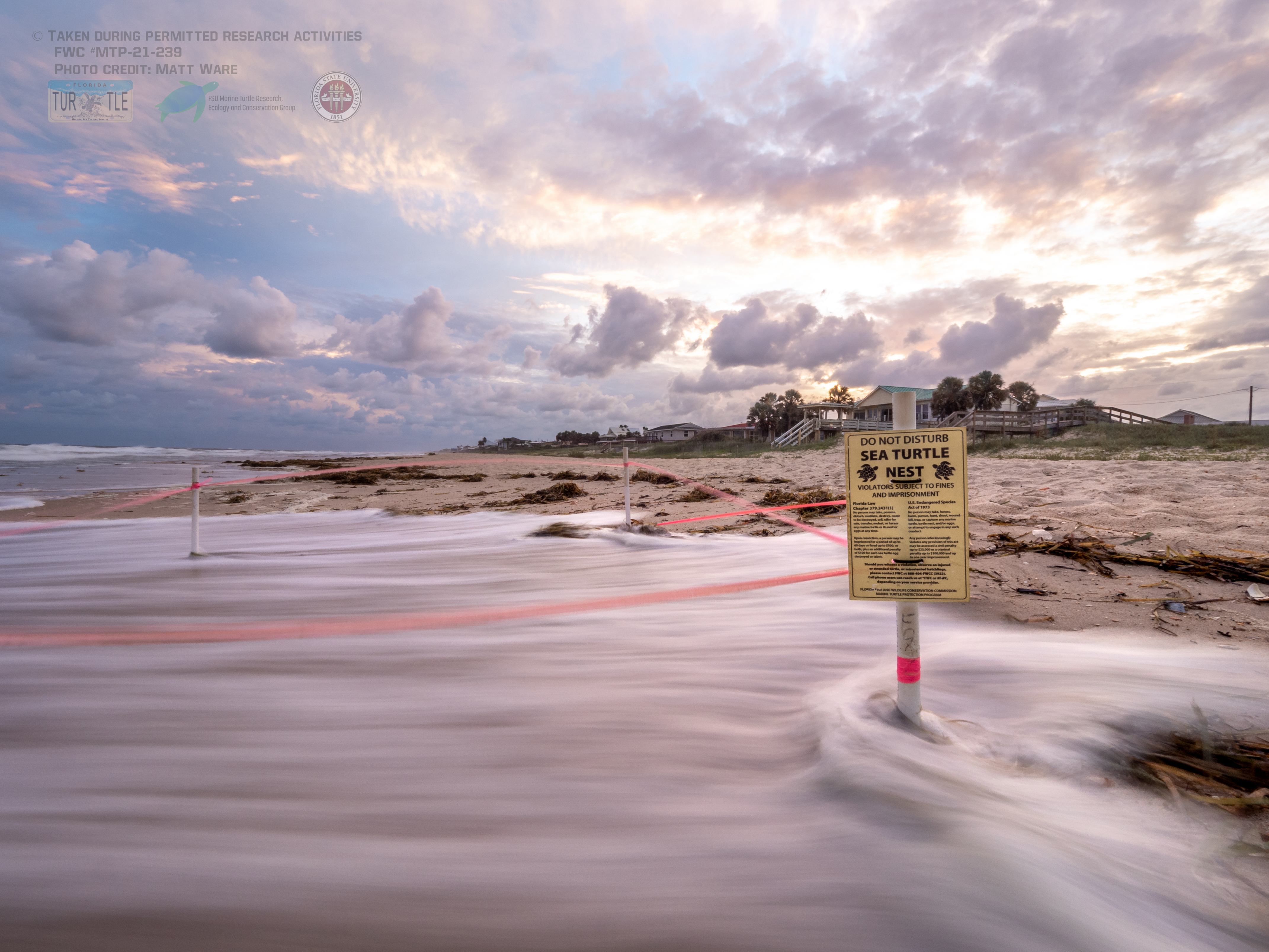 Waves washing over a sea turtle nest on St. George Island.