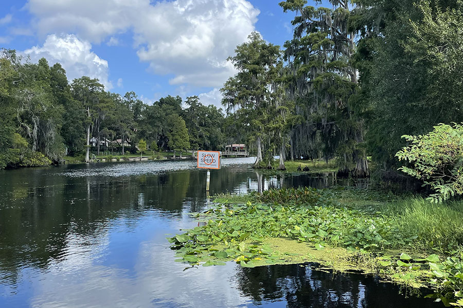 The Hillsborough River at Rotary River Park. One of several sites where project scientists will collect samples to measure the iron and nitrogen content of the Hillsborough River,which carries nutrients into Tampa Bay and into the Gulf of Mexico. Photo by Tim Conway, USF.