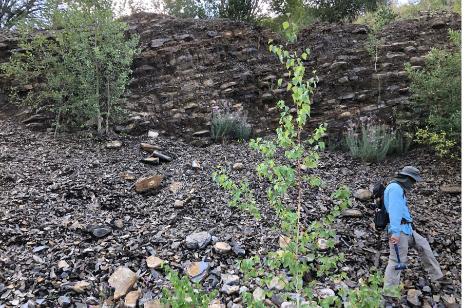 Nevin Kozik during fieldwork to investigate how rapid changes in marine oxygen levels may have played a significant role in driving Earth’s first mass extinction.