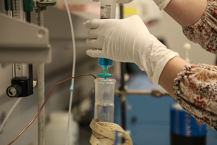 Andrea Emmanuelli on FSU’s campus analyzing water samples from the Gulf of Alaska. Photo by Devin Bittner.
