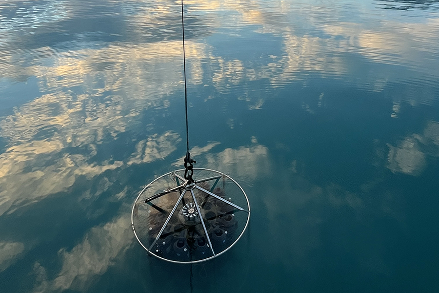 Research using conductivity-temperature-depth sensors in progress aboard ship.