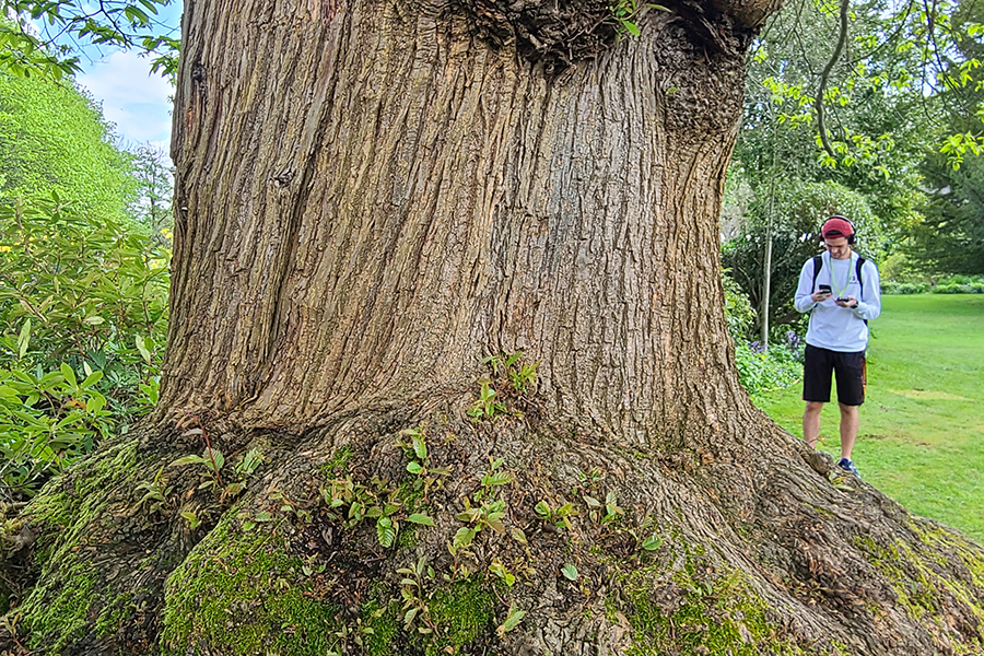 Scenes from the 2022 and 2023 Biology in London program. Courtesy photos.