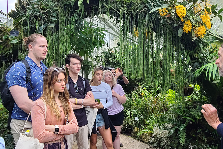 Scenes from the 2022 and 2023 Biology in London program. Courtesy photos.