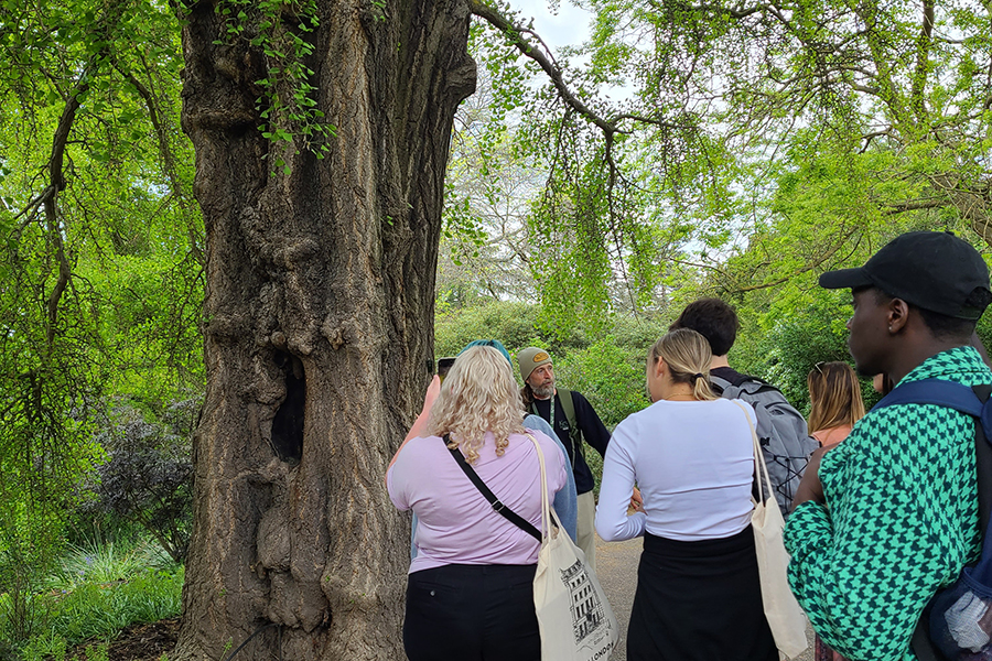 Scenes from the 2022 and 2023 Biology in London program. Courtesy photos.