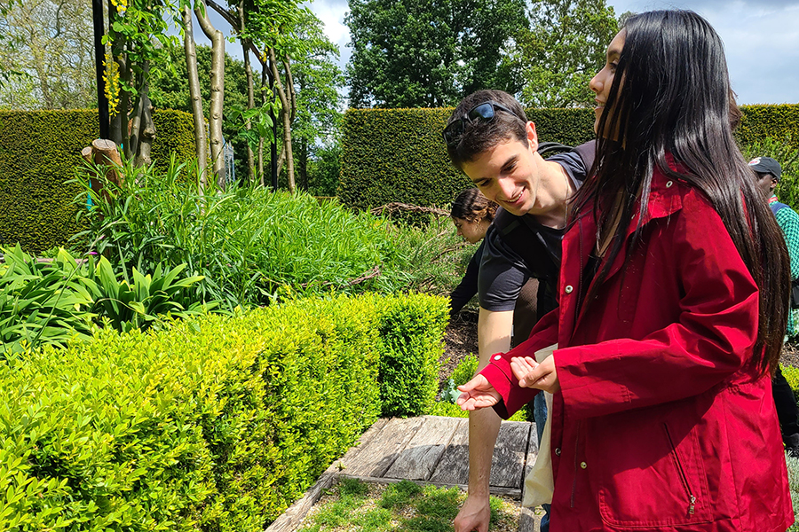 Scenes from the 2022 and 2023 Biology in London program. Courtesy photos.