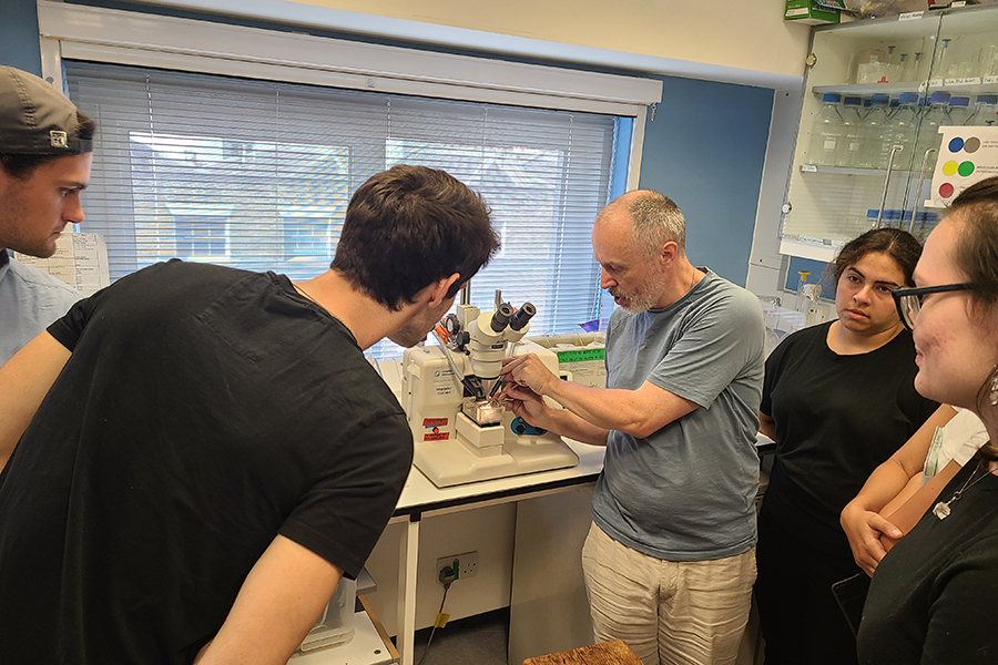 Scenes from the 2022 and 2023 Biology in London program. Courtesy photos.