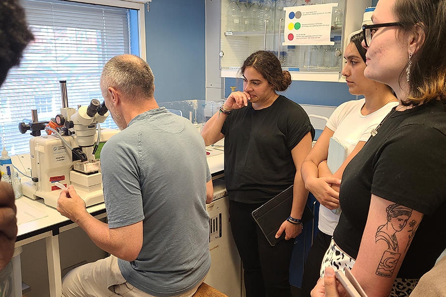 Scenes from the 2022 and 2023 Biology in London program. Courtesy photos.