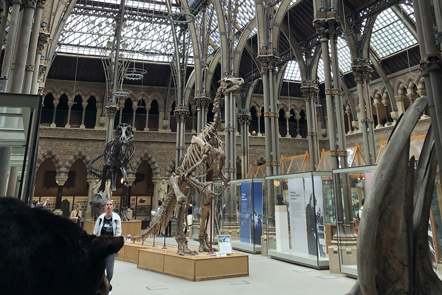 Scenes from the 2022 and 2023 Biology in London program. Courtesy photos.