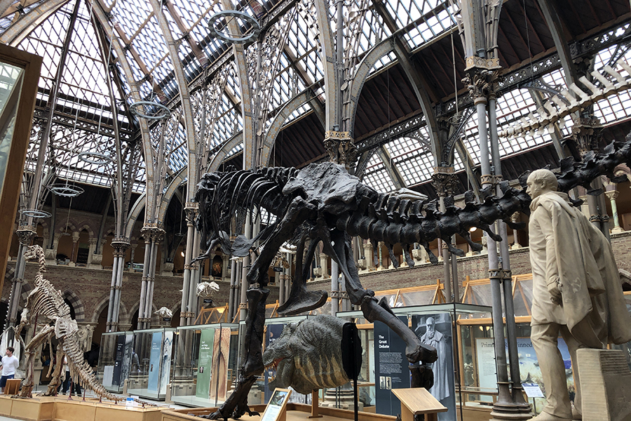 Scenes from the 2022 and 2023 Biology in London program. Courtesy photos.