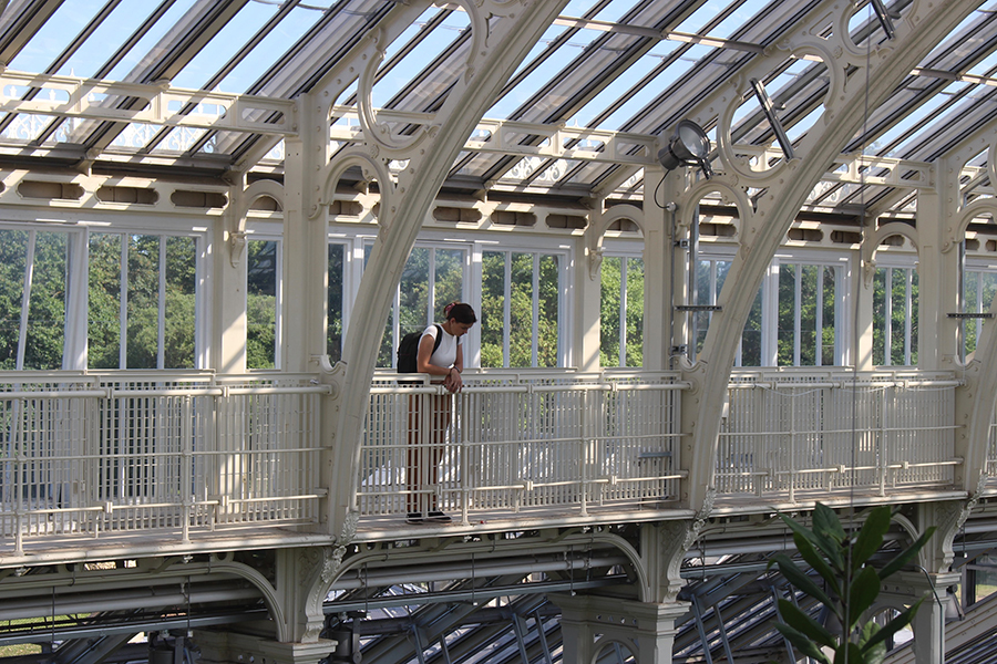 Scenes from the 2022 and 2023 Biology in London program. Courtesy photos.