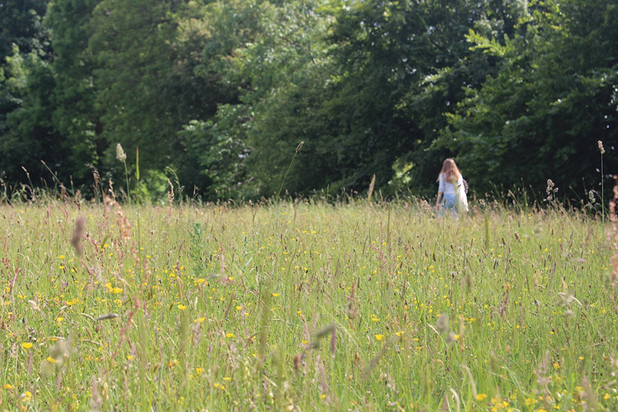 A student exploring Charles Darwin's garden during the Biology in London trip. Courtesy photos.