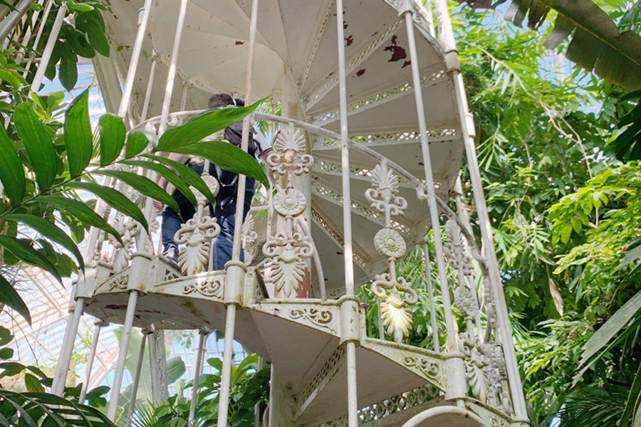 Scenes from the 2022 and 2023 Biology in London program. Courtesy photos.