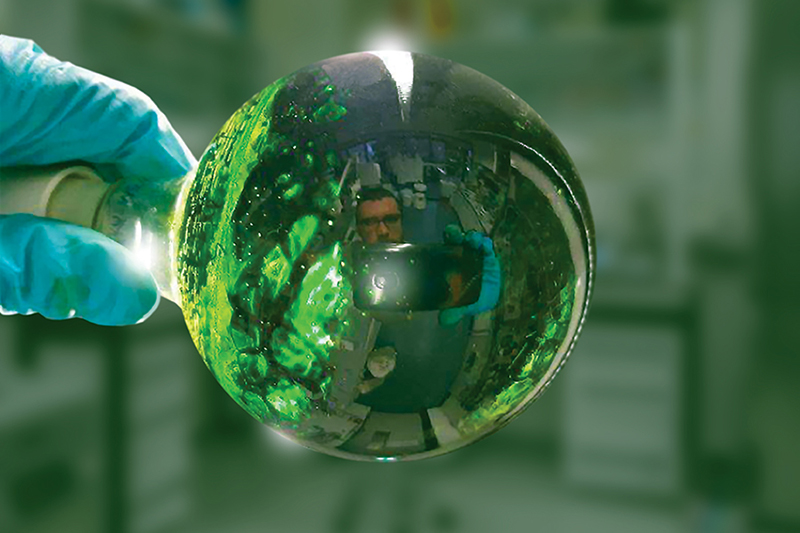 Photo illustration by FSU Creative Services. Courtesy photos.