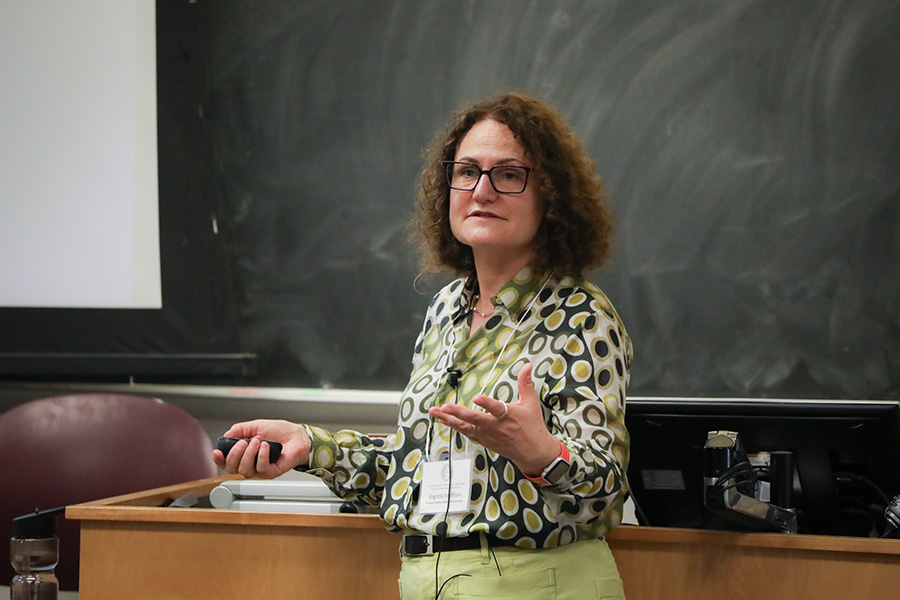 Gigliola Staffilani, Abby Rockefeller Mauze Professor of Mathematics at the Massachusetts Institute of Technology, delivers a plenary talk.
