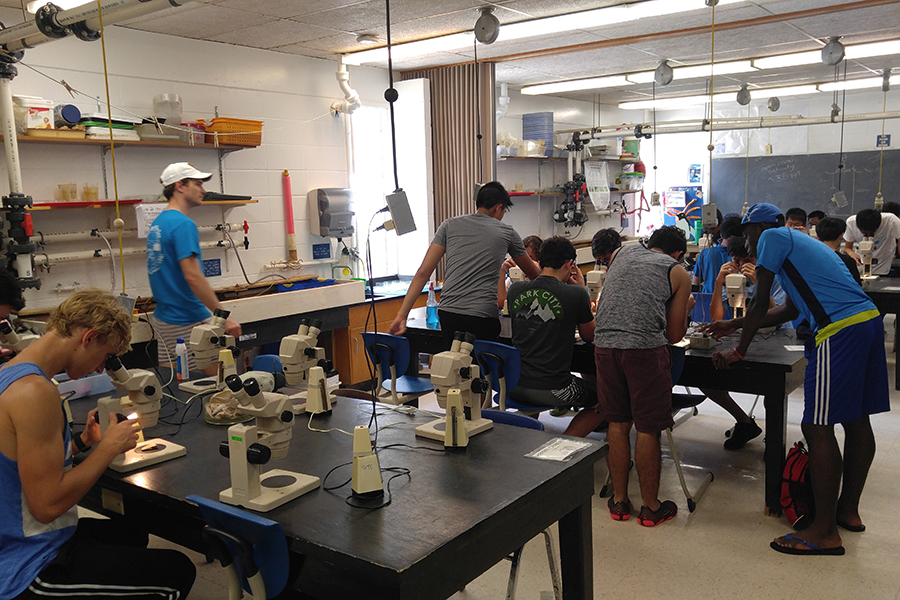 Students use microscopes to see marine life up close at the FSU Coastal and Marine Lab. Courtesy photo.