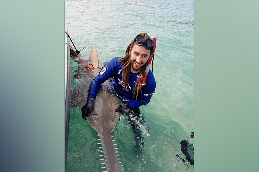 FSU alumnus Bryan Keller with a smalltooth sawfish, one of the world’s most endangered species of marine fish. Photo by Tristan Guttridge, Saving the Blue.