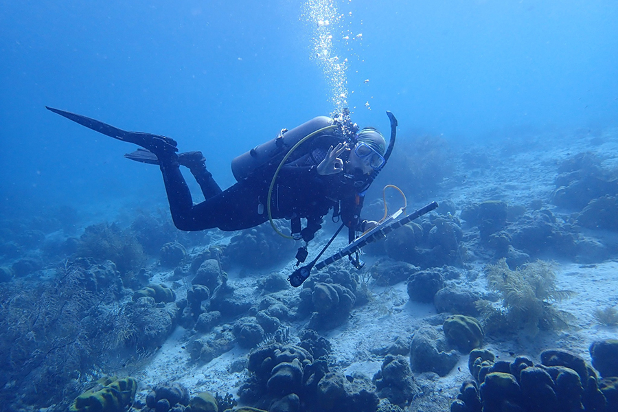 FSU Coastal and Marine Laboratory Diving Scholarship recipient Chanti Max dives on a project in Bonaire. Photo by Laurel Field.