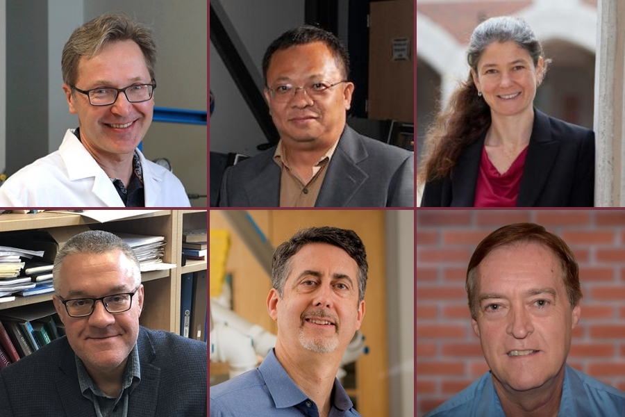 Clockwise from top left: Igor Alabugin, Richard Liang, Angelina Sutin, Christopher Patrick, Joseph Schlenoff and Robert Schurko. These six Florida State University researchers have been named to the Academy of Science, Engineering and Medicine of Florida.