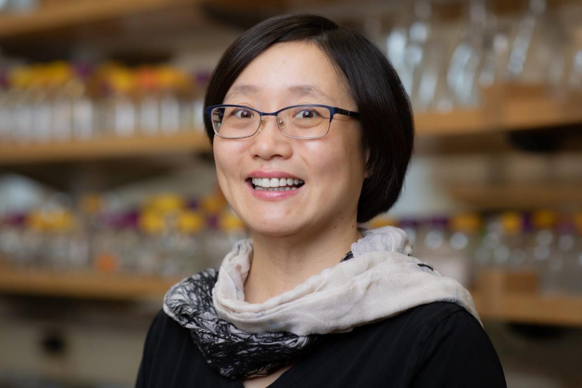 Professor of Chemistry and Biochemistry Yan-Yan Hu. (Devin Bittner/FSU College of Arts and Sciences)