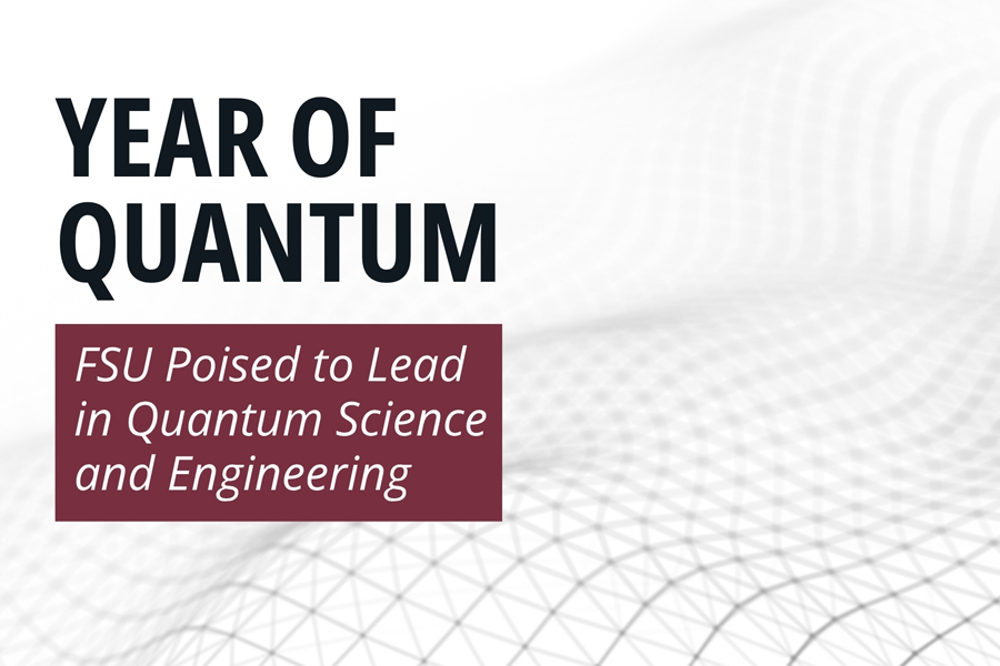 Year of Quantum graphic