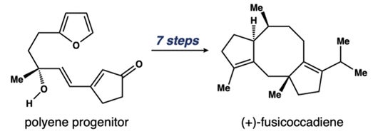 The initial molecule, a polyene progenitor, undergoes seven steps of various chemical processes in its transformation into fusicoccadiene, which has remarkable potential in medical applications. (Figure courtesy Jim Frederich/Journal of the American Chemical Society.)