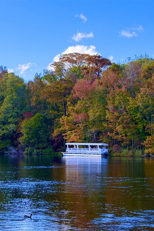 Wakulla Springs in the fall