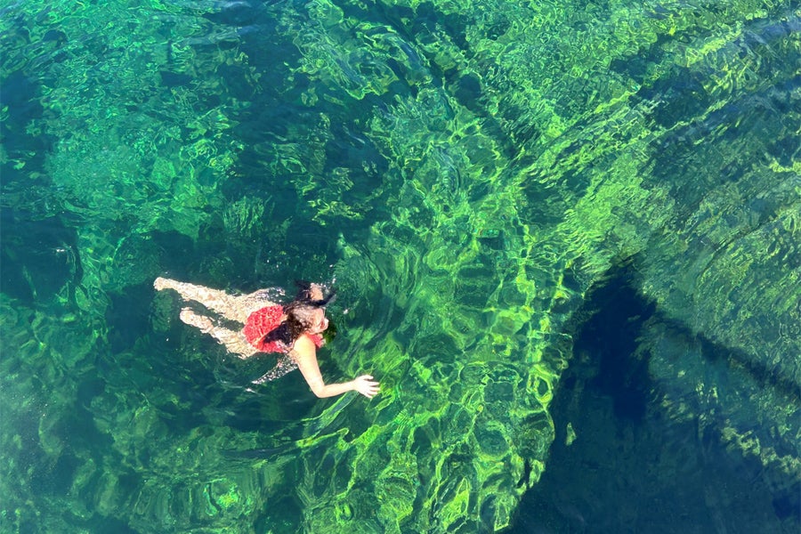 The clarity of Wakulla Springs as seen from above.