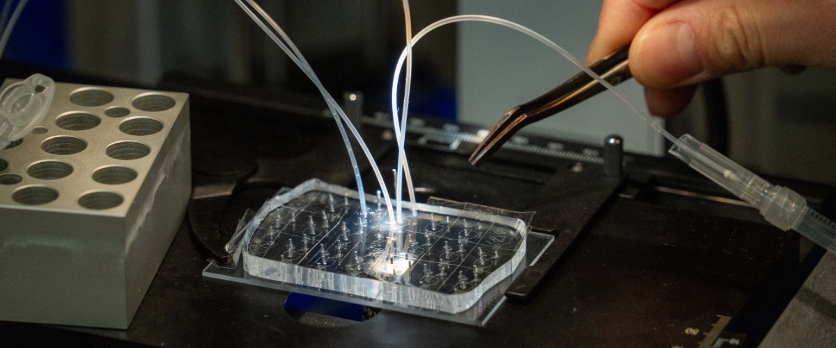 A close-up view of the microfluidics device
