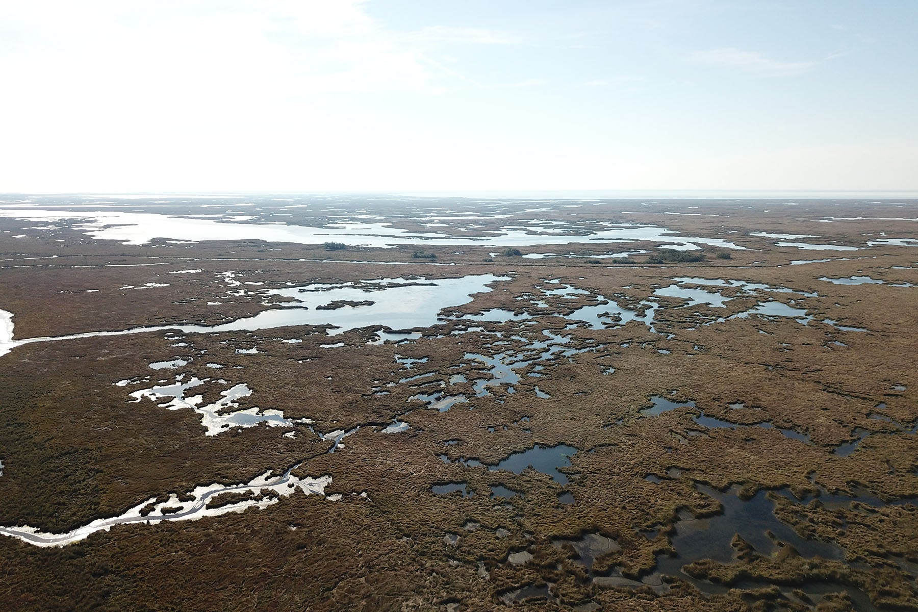 The Magnolia Mounds archaeological site consists of ten mounds shaped along ancient Mississippi River delta landforms, first built by Native American communities around 1,800 to 1,500 years ago on land formed nearly 4,000 years ago