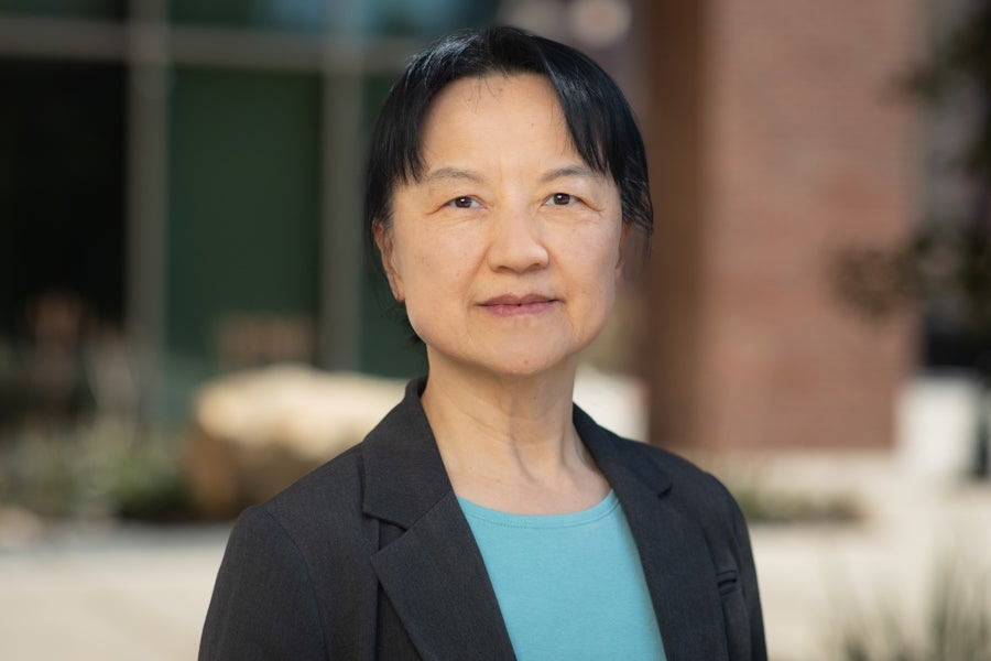 Professor of Geology and Environmental Science Yang Wang