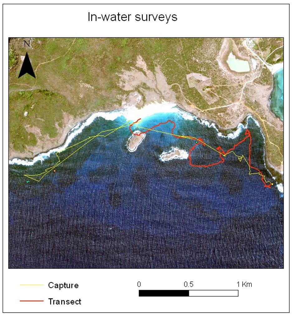 A map showing surveys conducted by the research team in Fernando de Noronha, Brazil. (Courtesy of Mariana Fuentes)