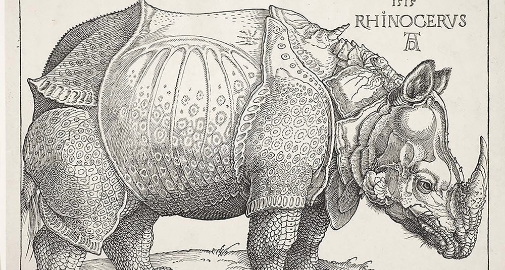 Albrecht Dürer’s famous 1515 woodcut of a rhinoceros