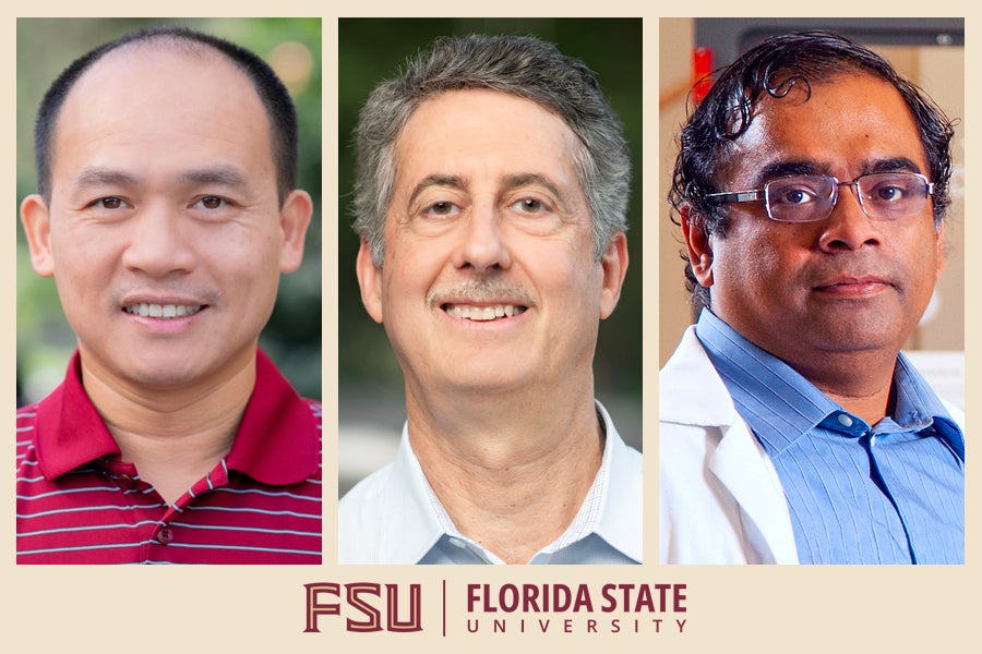 Biwu Ma, Joseph Schlenoff, Subramanian Ramakrishnan