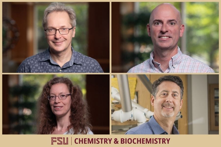 Chemistry faculty
