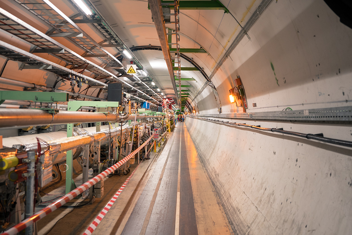 The Large Hadron Collider.