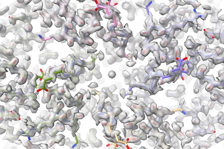 This is a close up of a 3D reconstruction of a molecule called apoferritin.