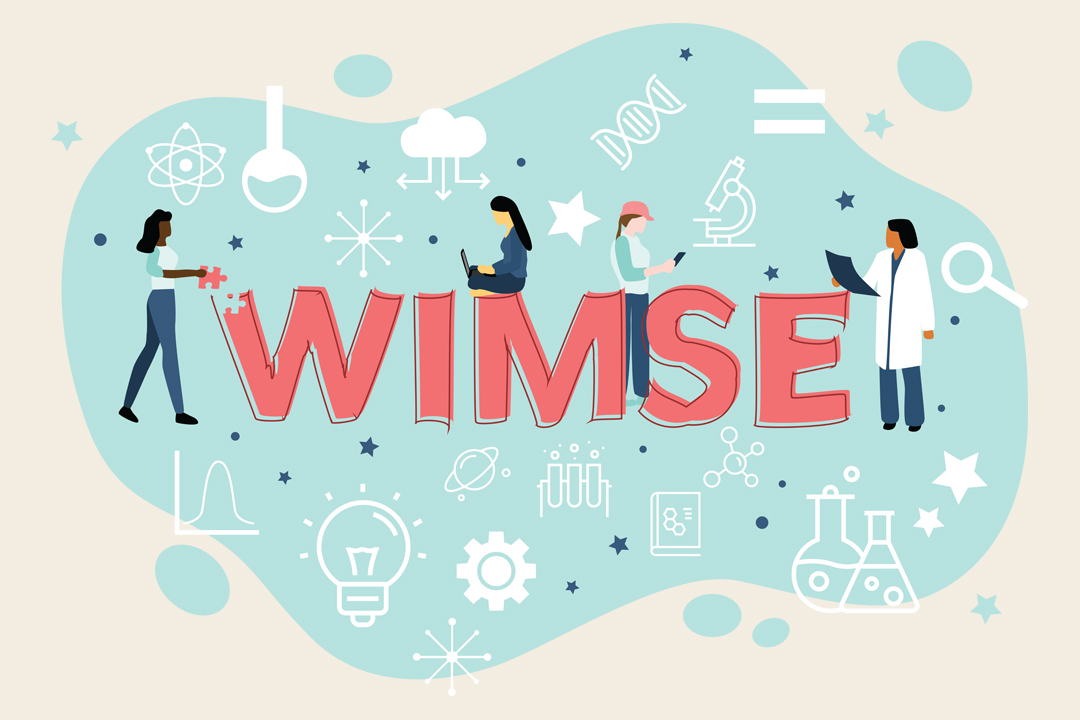 WIMSE graphic