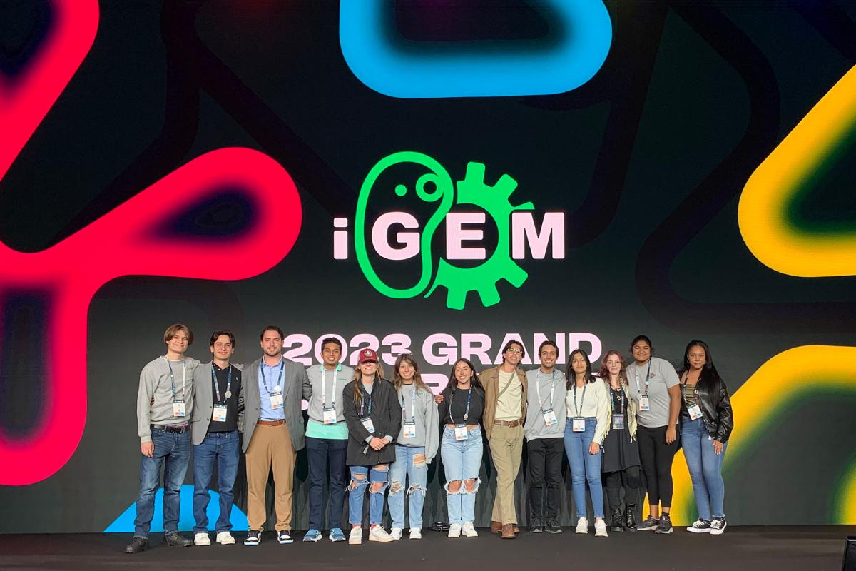 A team of 13 FSU undergraduate students won a silver medal for their work that may result in future treatment for patients living with the rare genetic disorder trimethylaminuria. (Photo courtesy of the iGEM Team)