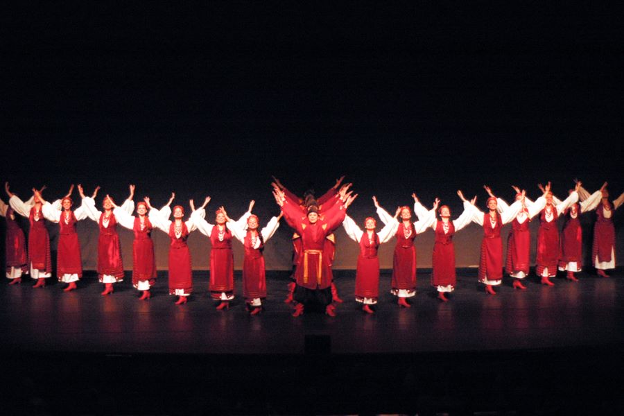 The Syzokryli Ukrainian Dance Ensemble in a v-shaped formation with arms raised. 