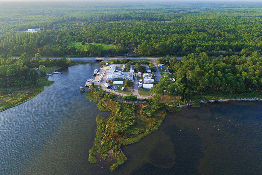 FSU Coastal and Marine Laboratory. Courtesy photos.
