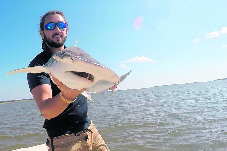 Bryan Keller’s doctoral dissertation focused on the ecology of bonnethead sharks (pictured). He graduated from FSU with a doctorate in biological oceanography in 2020. Photo by Colby Griffiths. 