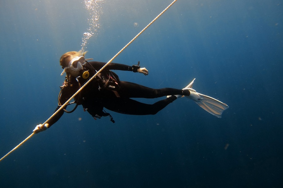 As a volunteer for the Florida Fish and Wildlife Conservation Commission's Artificial Reef Program, FSU doctoral student Lillie Bradshaw deployed and monitored artificial reefs off the coast of Mexico Beach, Florida. Photo by Eli Myron.