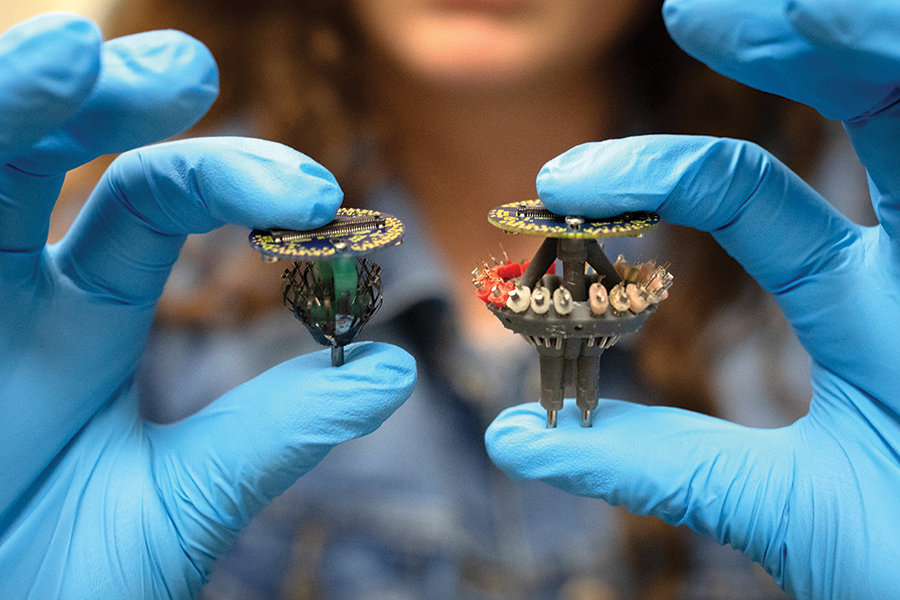 Emily Salvador conducts cutting-edge research on the relationship between sleep quality, memory-related activity patterns during sleep and Alzheimer's disease. She uses these high-resolution, 3D-printed recording arrays to measure the electrical activity of brain cells. Photo by Devin Bittner.