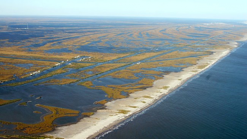 new-orleans-wetlands-disappearing.jpg.650x0_q85_crop-smart.jpg