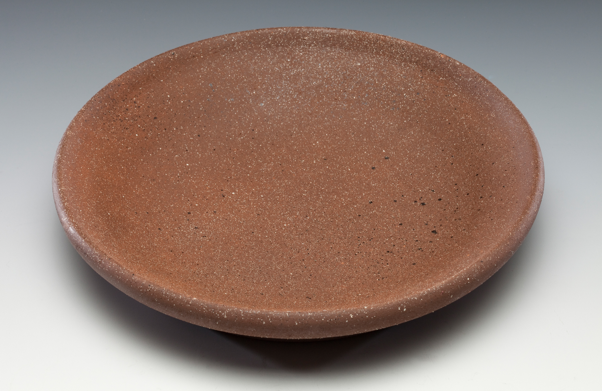 3-D reconstruction of a Medieval pan from Cetamura for making hearth bread