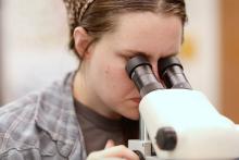 OSTA research image
