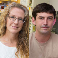 Biological science Professor Debra Fadool and post-doctoral researcher Nicolas Thiebaud.