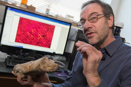 Gregory Erickson is a professor of biological science at FSU.